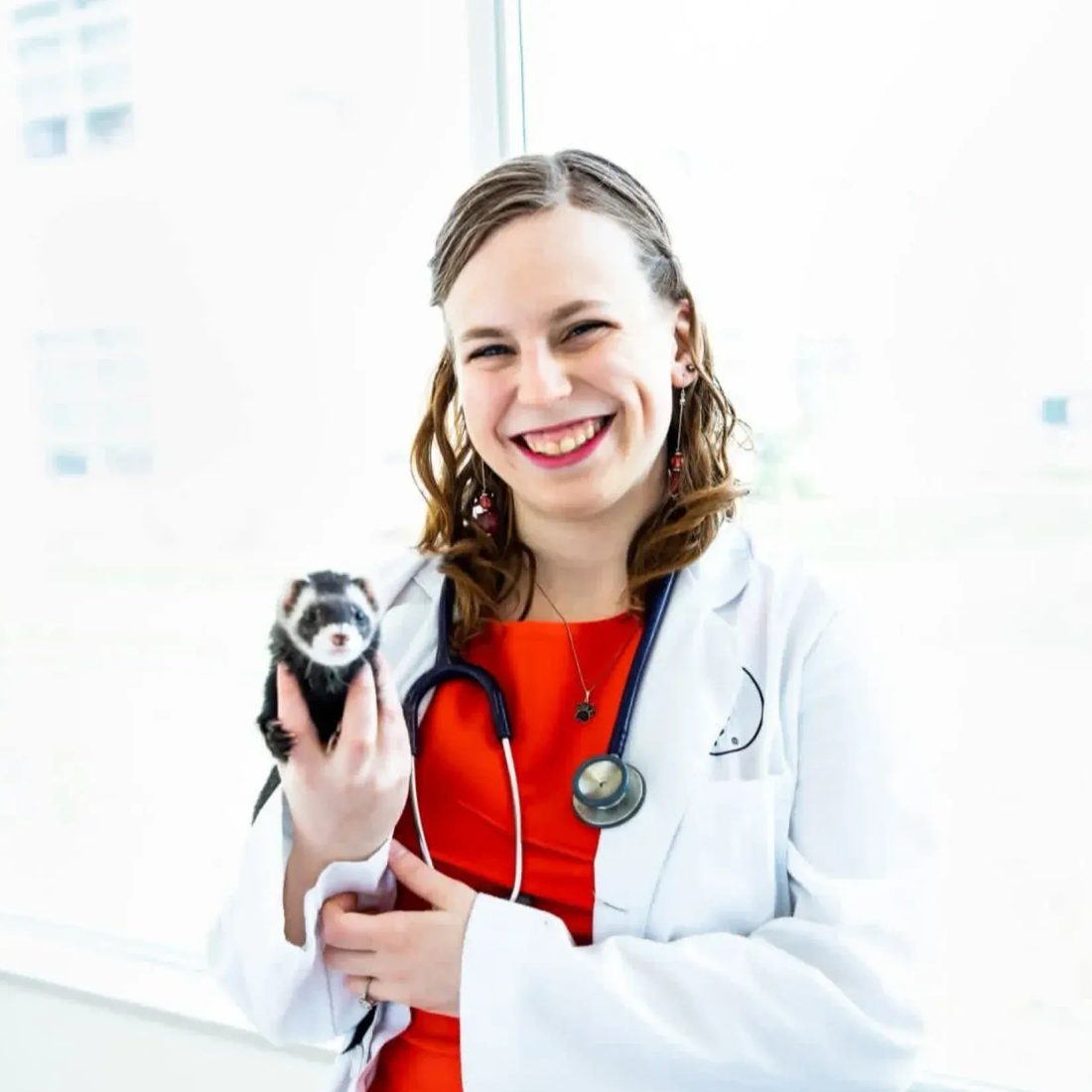 Smiling veterinarian holding a small black and white dog in clinic